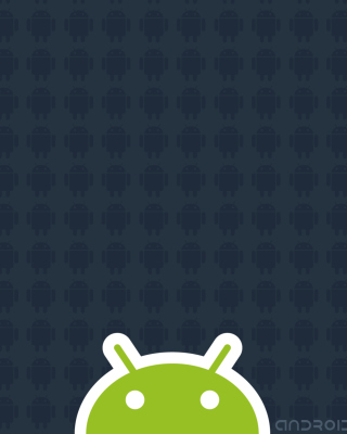 Android 2.2 papel de parede para celular para Nokia C-5 5MP