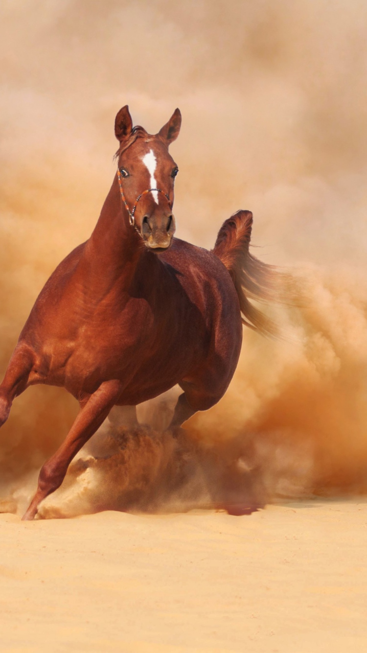 Horse Running Free And Fast screenshot #1 750x1334