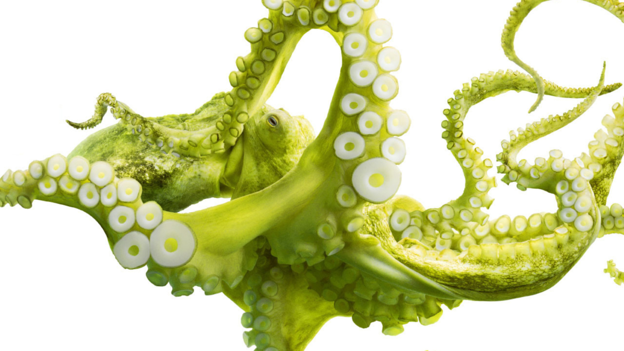 Fondo de pantalla Green Octopus 1280x720