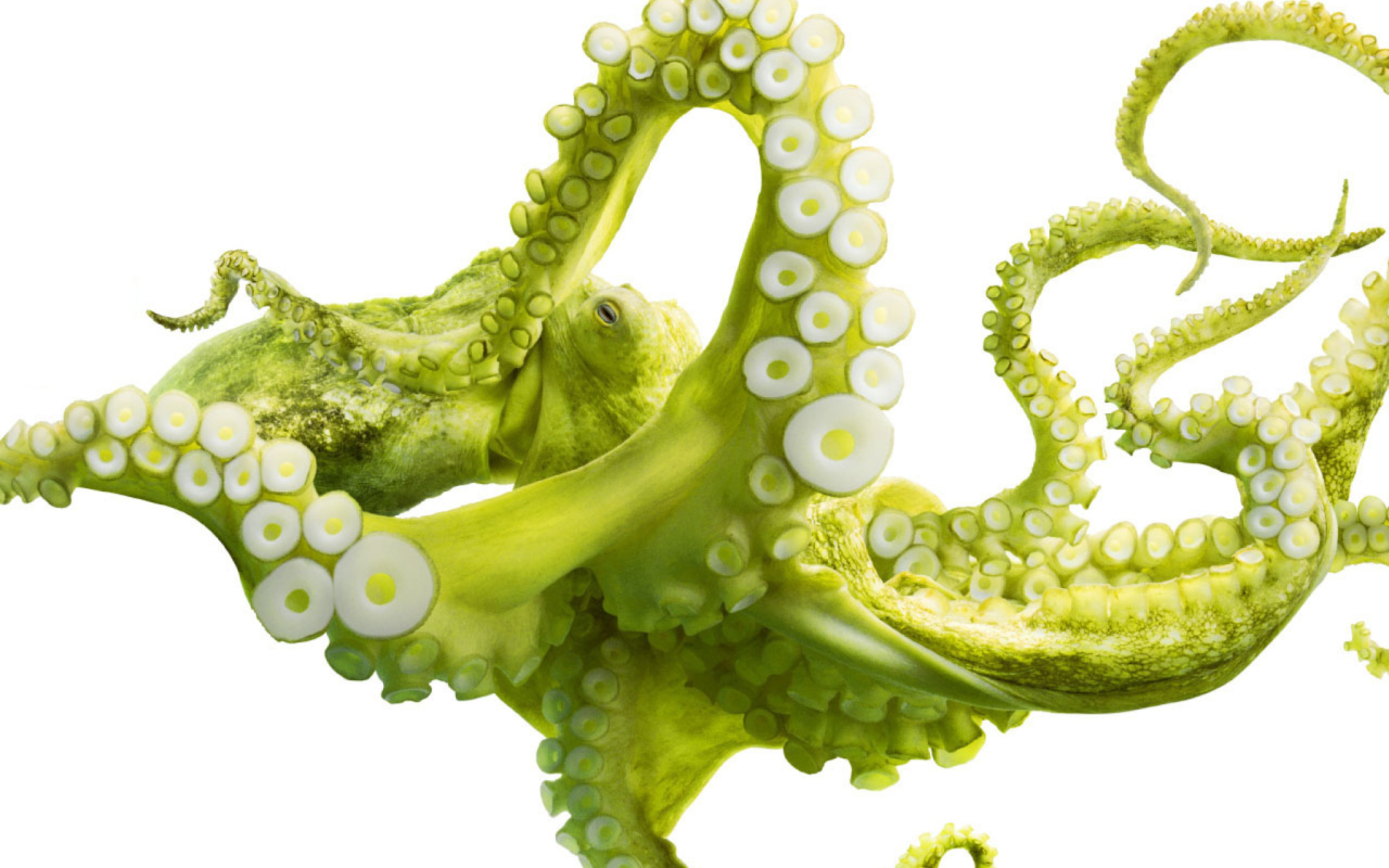 Sfondi Green Octopus 1280x800