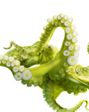 Das Green Octopus Wallpaper 128x160