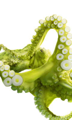 Das Green Octopus Wallpaper 240x400