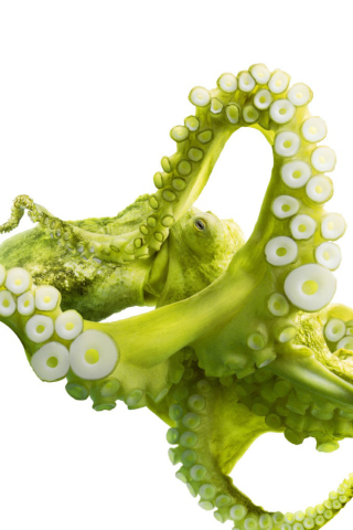 Das Green Octopus Wallpaper 320x480