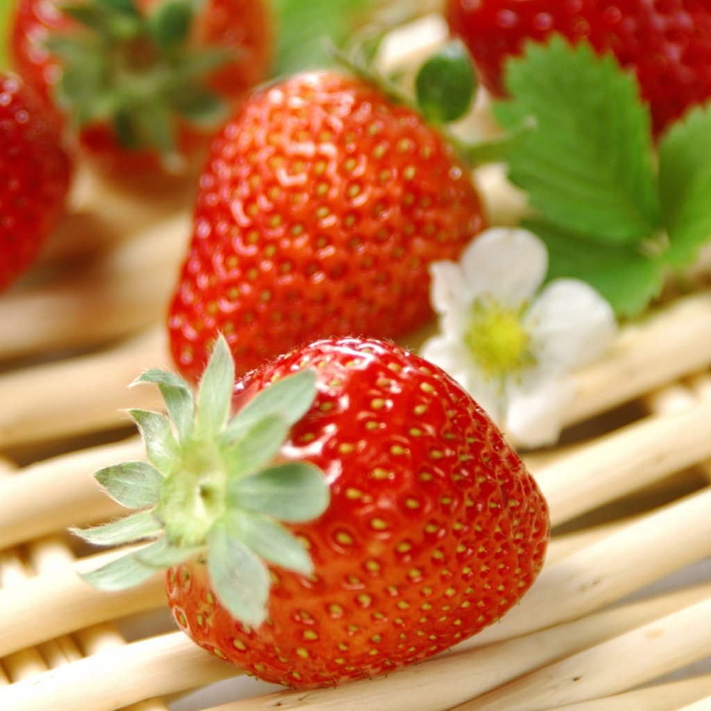 Fresh Strawberries screenshot #1 1024x1024