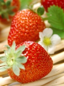 Das Fresh Strawberries Wallpaper 132x176