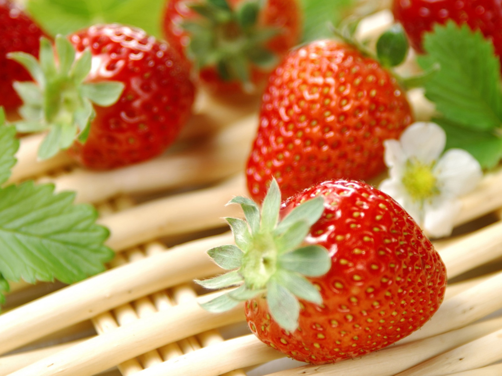 Screenshot №1 pro téma Fresh Strawberries 1600x1200