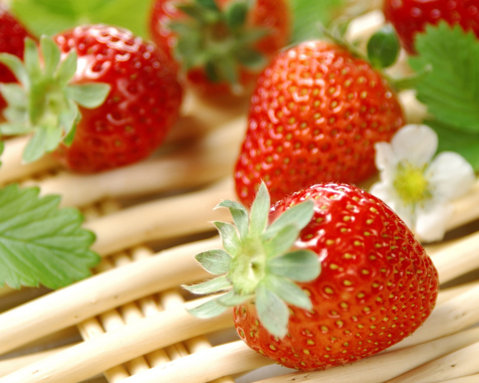 Fresh Strawberries screenshot #1 1600x1280