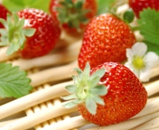 Fresh Strawberries screenshot #1 176x144