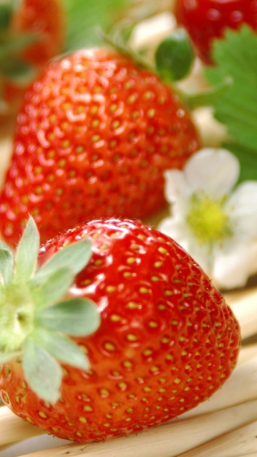 Das Fresh Strawberries Wallpaper 360x640