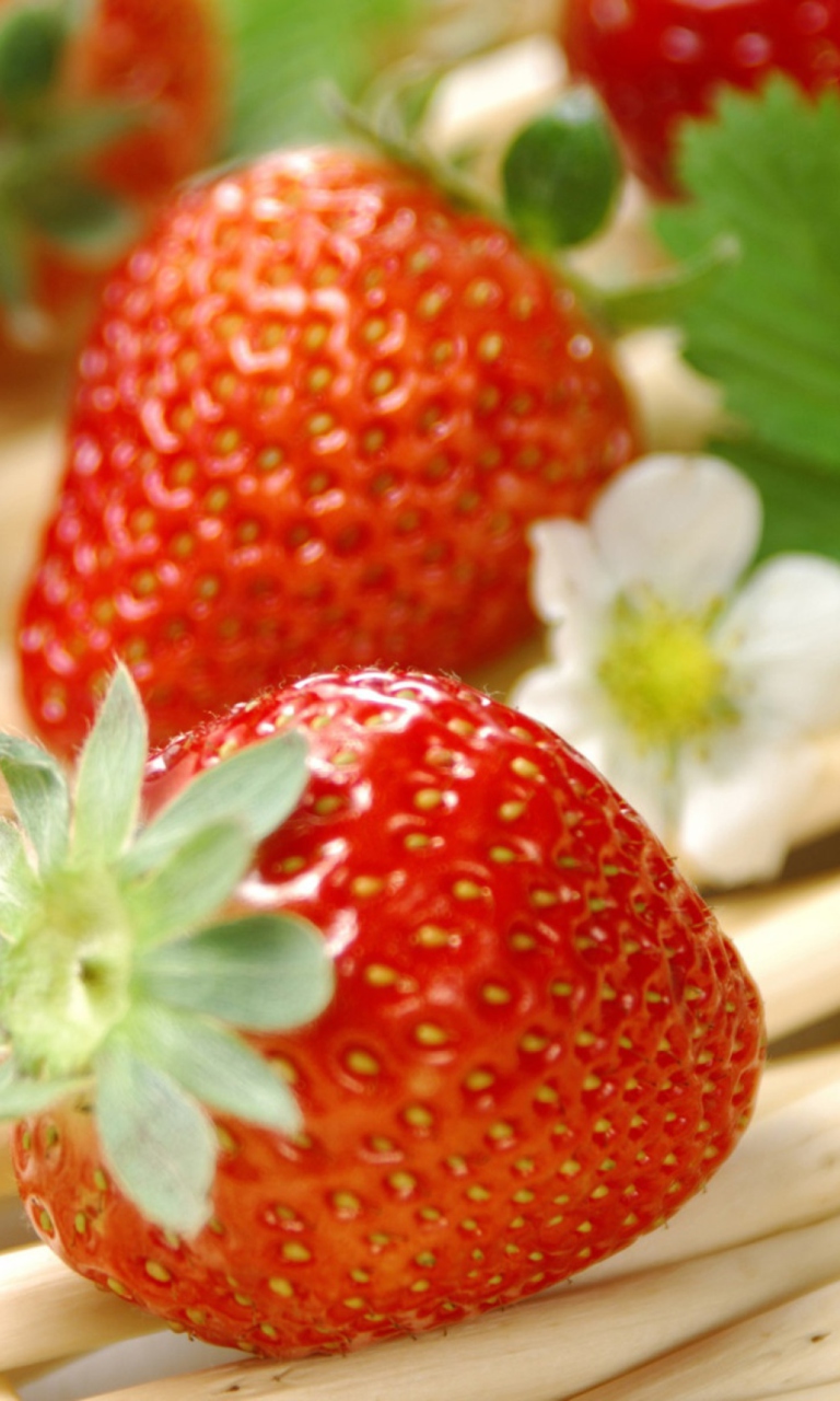 Fresh Strawberries wallpaper 768x1280