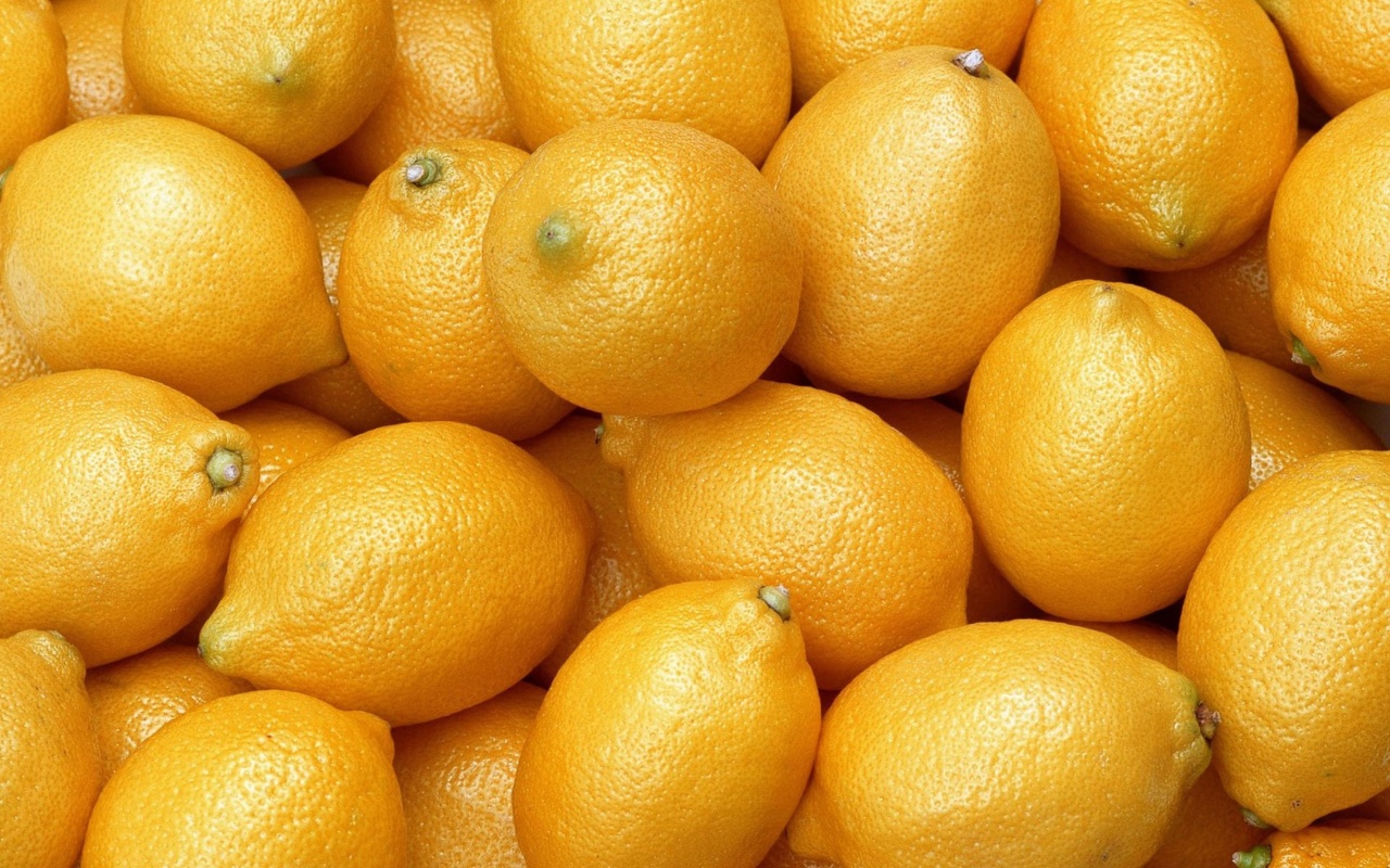 Menton Lemon wallpaper 1280x800