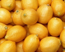 Sfondi Menton Lemon 220x176