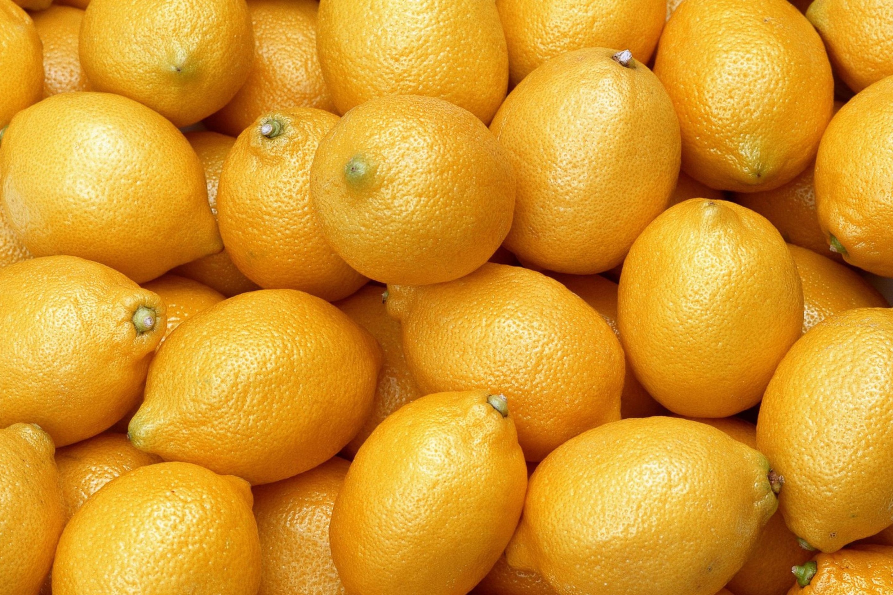 Обои Menton Lemon 2880x1920