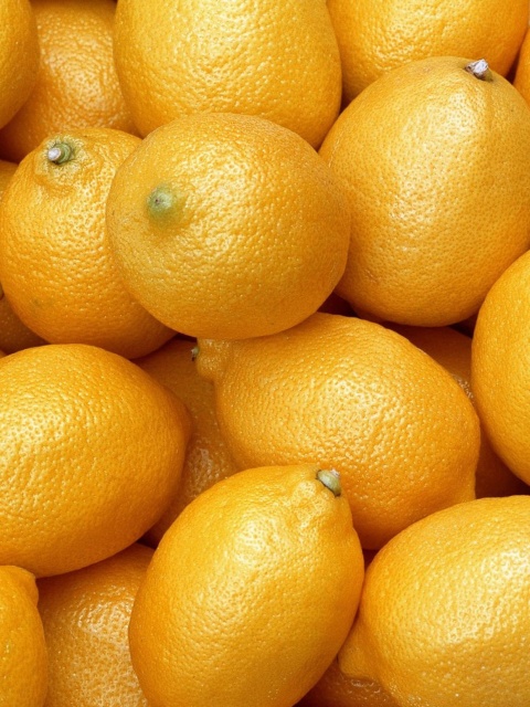 Menton Lemon screenshot #1 480x640