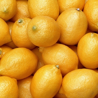 Free Menton Lemon Picture for iPad mini