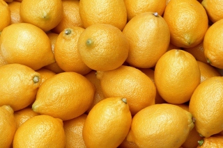 Menton Lemon Background for Android, iPhone and iPad