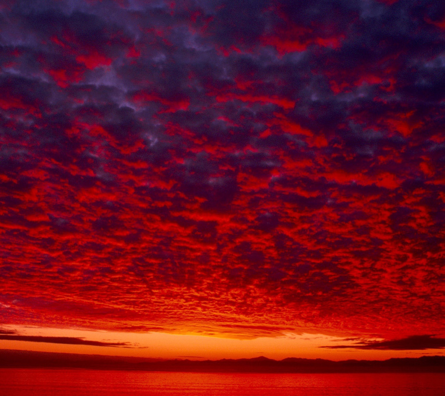 Das Red Sky Wallpaper 1440x1280