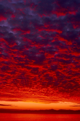 Das Red Sky Wallpaper 320x480