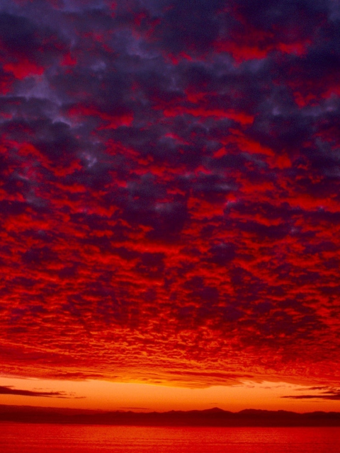 Das Red Sky Wallpaper 480x640