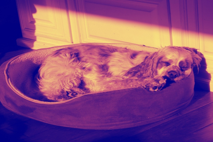 Screenshot №1 pro téma Sleeping Dog