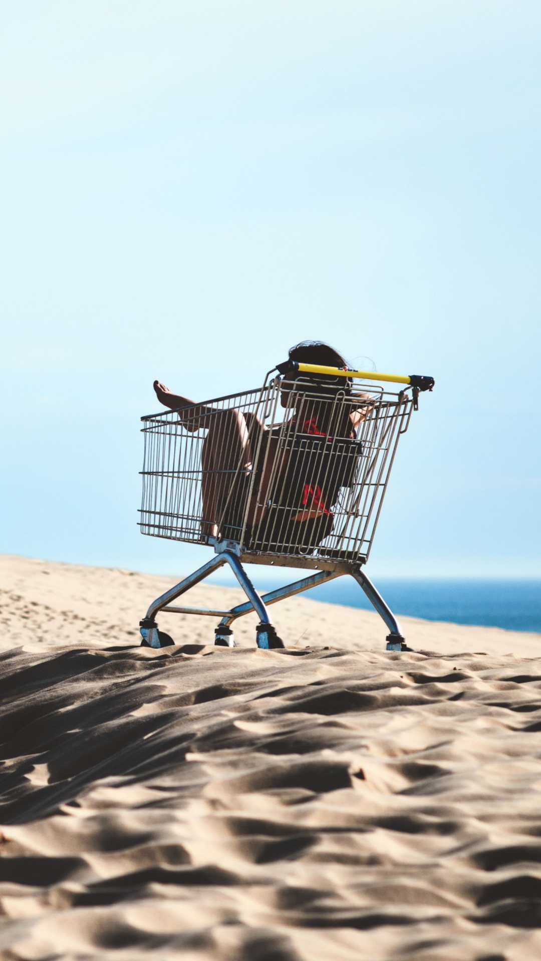 Sfondi Girl In Shopping Cart 1080x1920