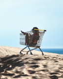 Das Girl In Shopping Cart Wallpaper 128x160