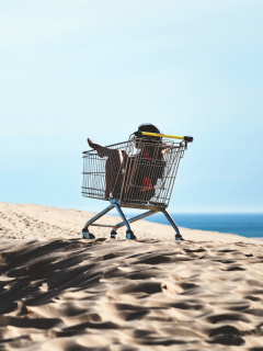 Girl In Shopping Cart wallpaper 240x320