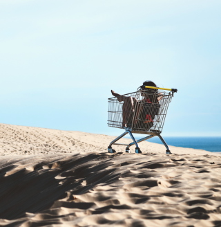 Girl In Shopping Cart sfondi gratuiti per 1024x1024