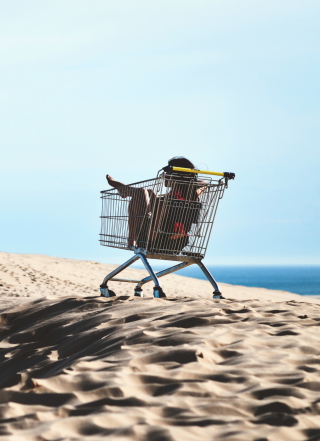 Kostenloses Girl In Shopping Cart Wallpaper für 240x320