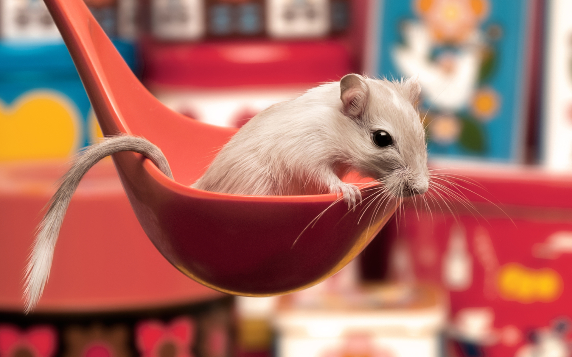 Cute Grey Hamster at Night - AI Generated Artwork - NightCafe Creator