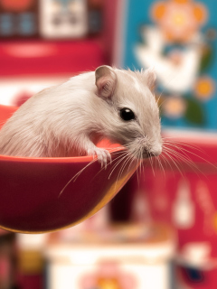 Cute Rat wallpaper 240x320