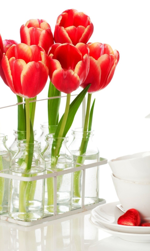 Tulips And Teapot wallpaper 480x800