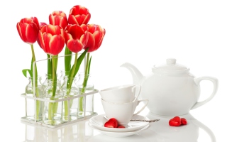 Tulips And Teapot Picture for Android, iPhone and iPad