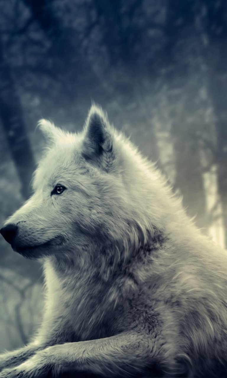 Night Wolf wallpaper 768x1280