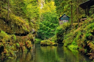 Free Lake house Picture for Android, iPhone and iPad