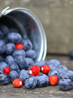 Blueberries And Strawberries wallpaper 240x320