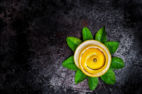 Das Lemon Peel Wallpaper 480x320