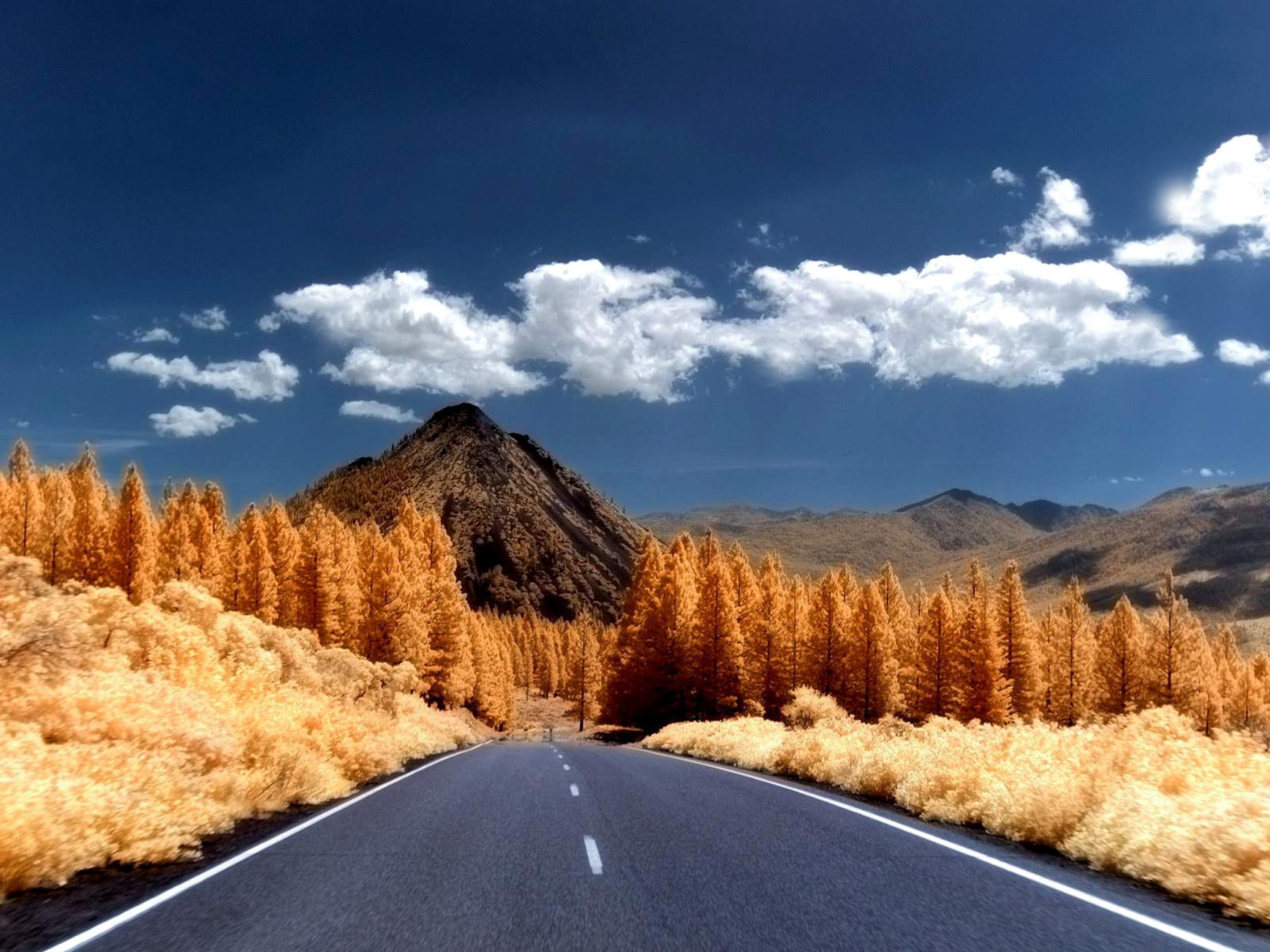 Das Autumn Road Wallpaper 1600x1200