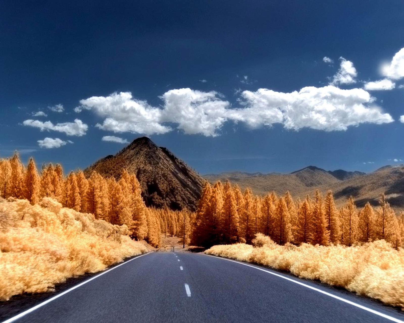 Das Autumn Road Wallpaper 1600x1280