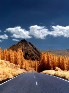 Autumn Road screenshot #1 240x320
