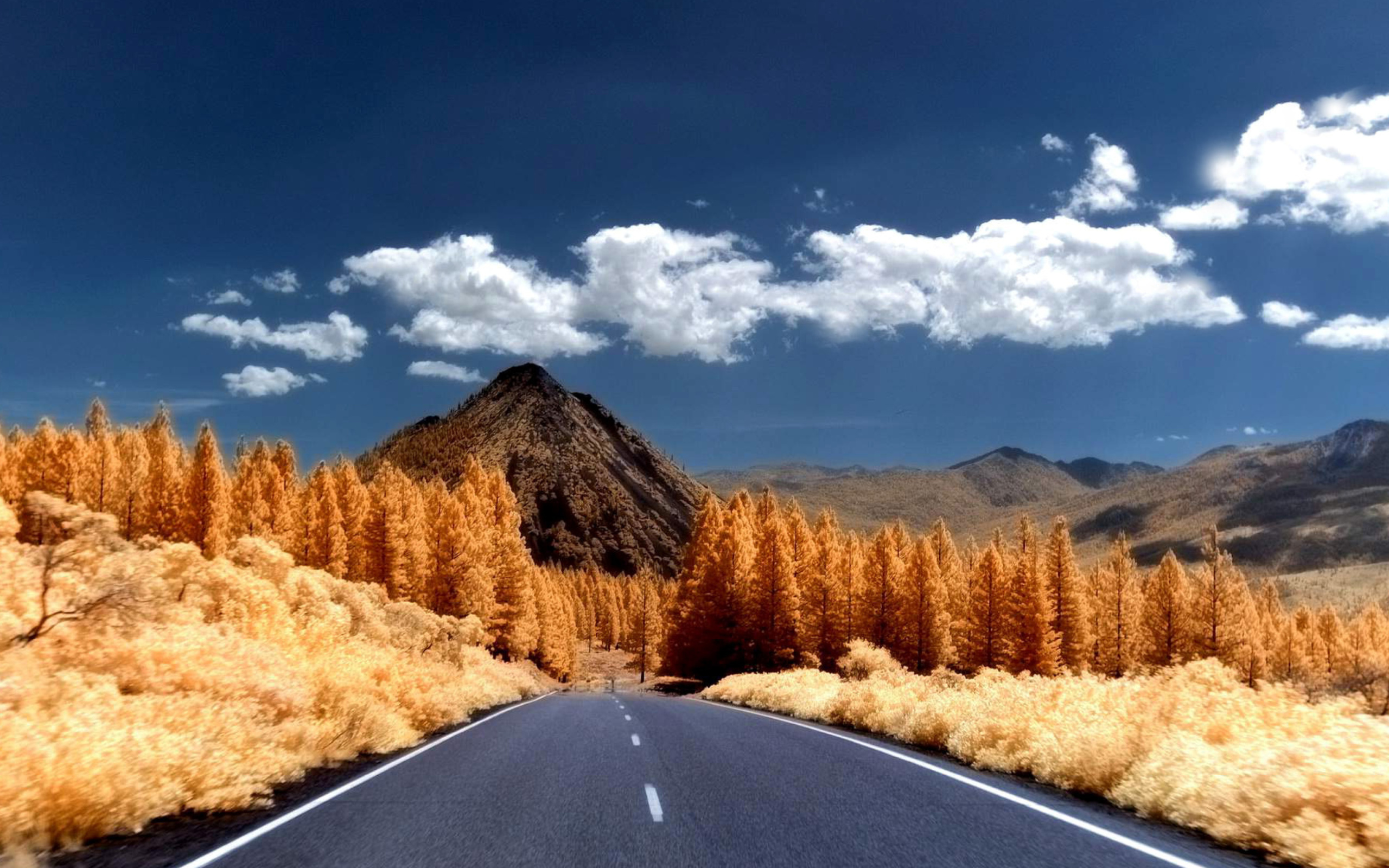 Das Autumn Road Wallpaper 2560x1600