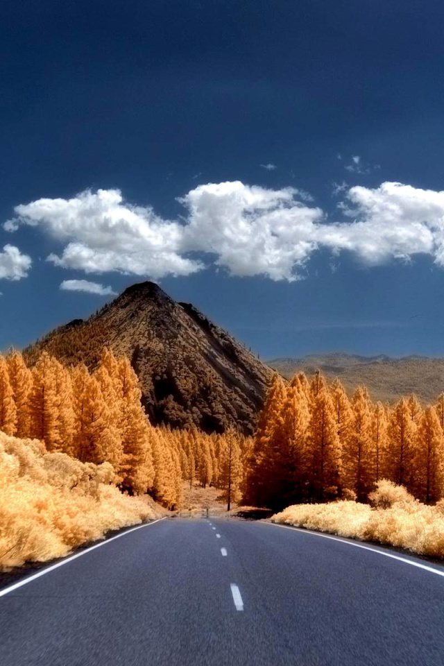 Das Autumn Road Wallpaper 640x960