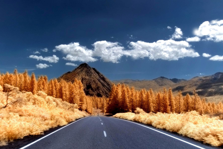 Autumn Road wallpaper