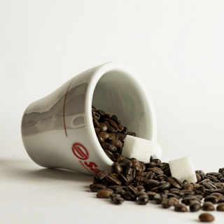 Kostenloses Coffee Cup Wallpaper für Samsung B159 Hero Plus