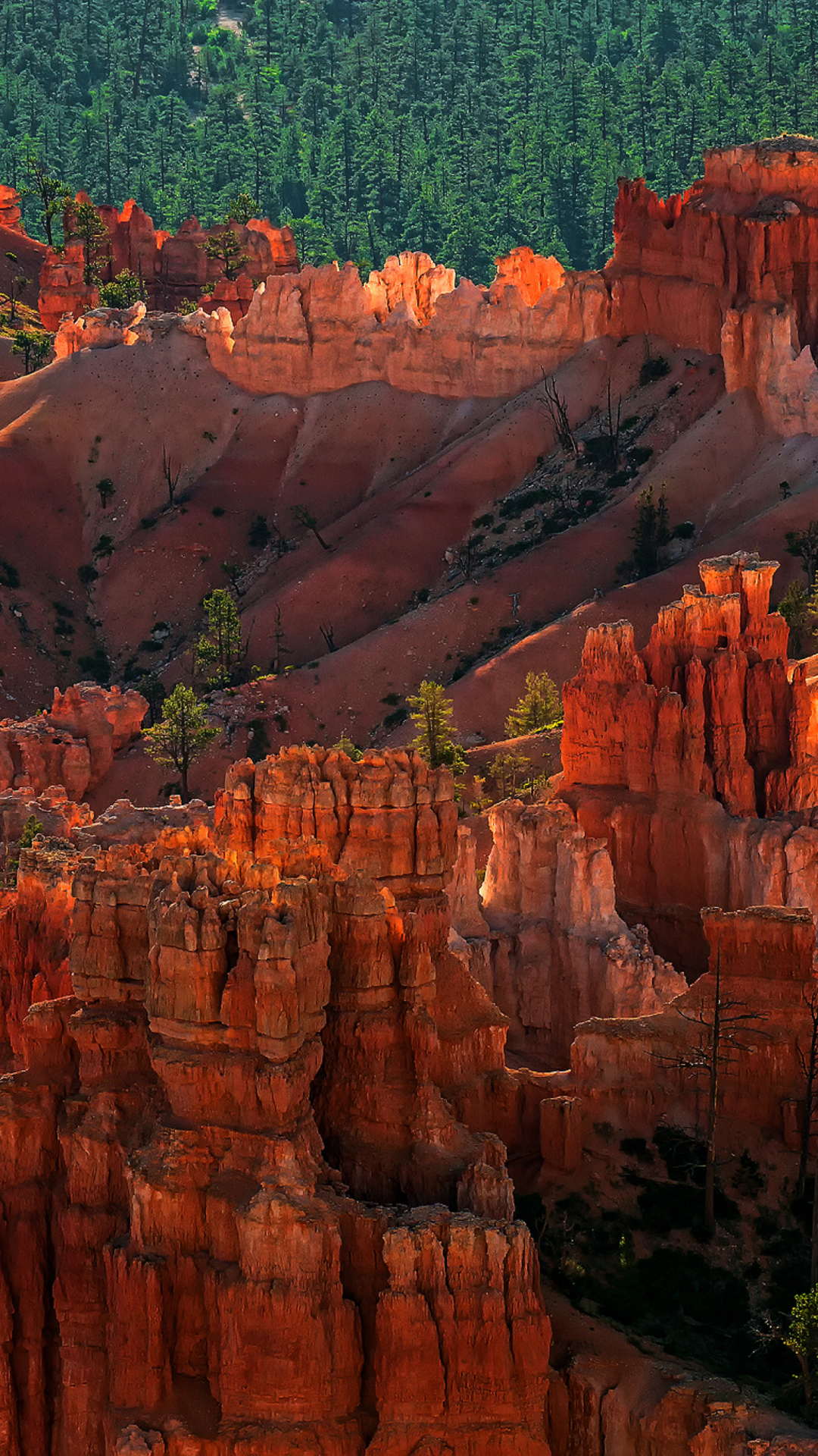 Das Bryce Canyon National Park In Utah Wallpaper 1080x1920