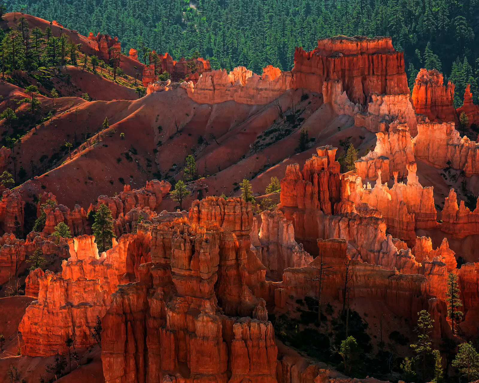 Screenshot №1 pro téma Bryce Canyon National Park In Utah 1600x1280