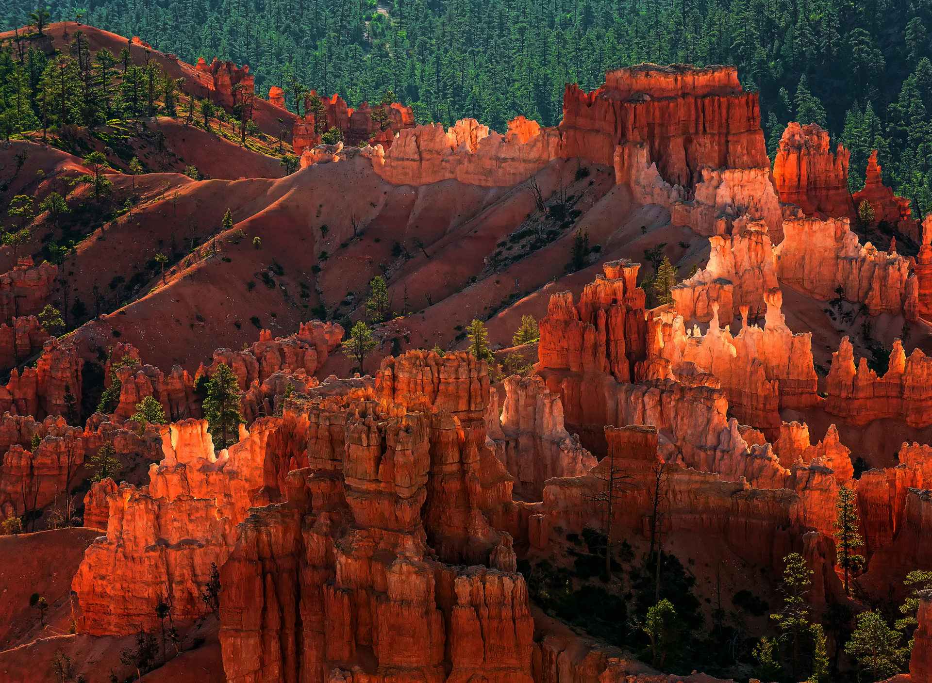 Fondo de pantalla Bryce Canyon National Park In Utah 1920x1408