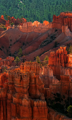 Bryce Canyon National Park In Utah wallpaper 240x400