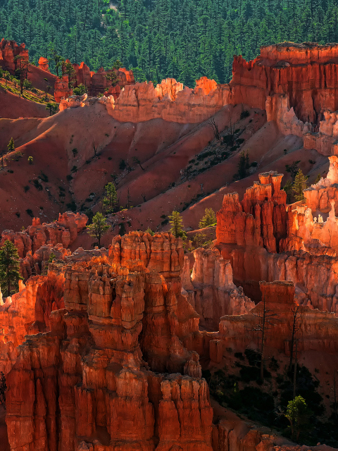 Fondo de pantalla Bryce Canyon National Park In Utah 480x640