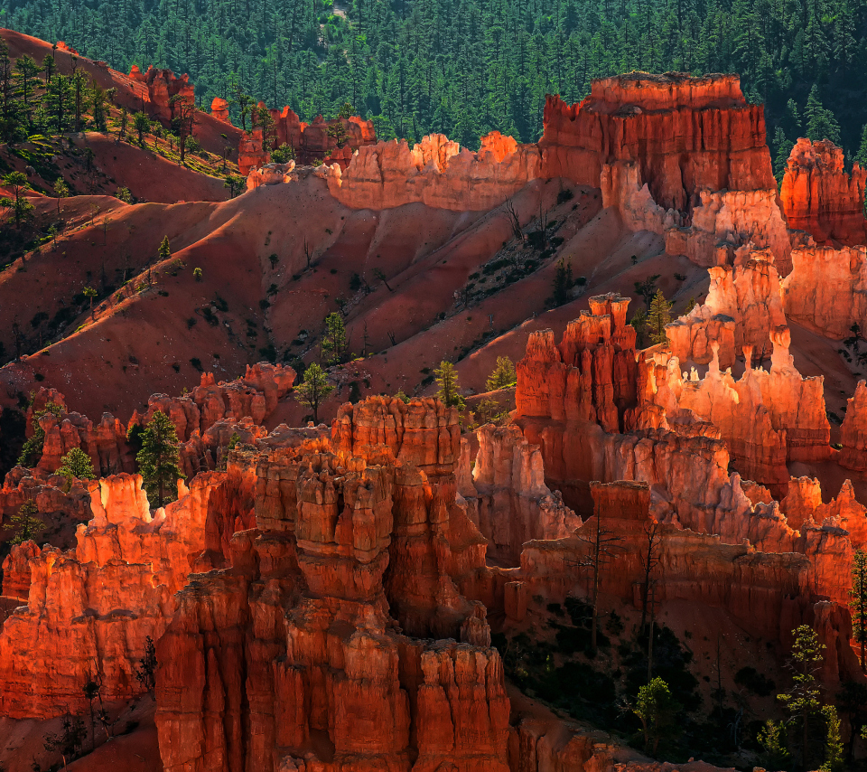 Das Bryce Canyon National Park In Utah Wallpaper 960x854